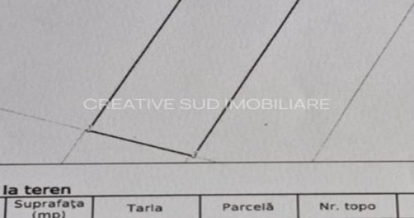Teren Intravilan - 1.000 mp - Zona Buna - Strazi Asfaltate
