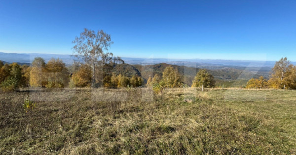 Teren extravilan 6.360 mp in Târsa