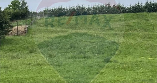 Pasune 21 ha pretabila pentru panouri fotovoltaice,impadurit