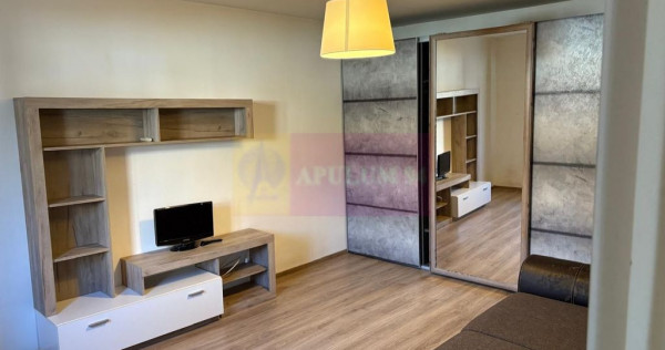 Casa 1 camera 33mp curte 50mp zona Metrou Tineretului COM...