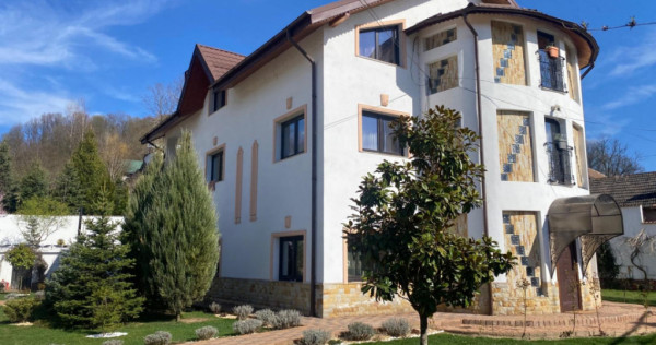 Domeniu de vanzare, Baile Govora(Pausesti-Otasau) cu teren d