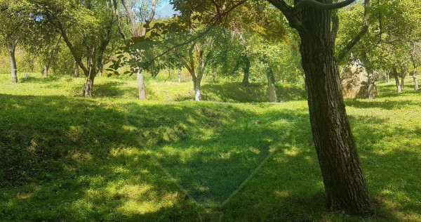 1.72 ha TEREN DE VANZARE - Seini