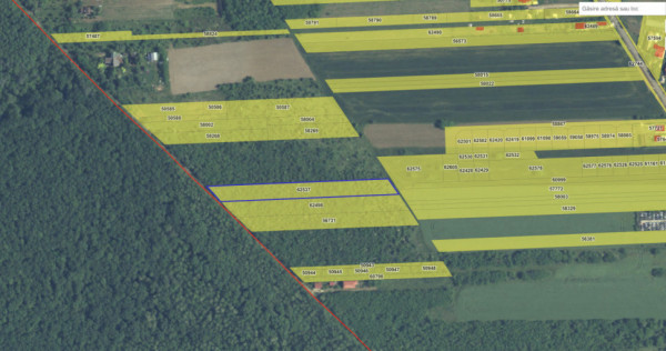 `Teren cu dubla deschidere, langa padure, Snagov - Strada Pa