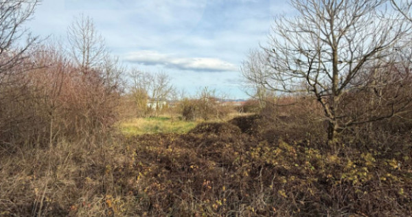 ???? Blitz vă propune spre vânzare – Teren 6.500 mp, Cal