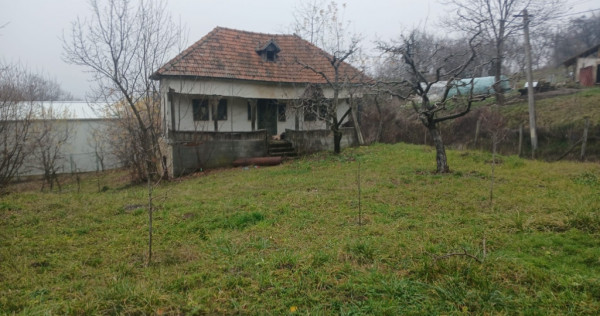Teren 2900mp + Casa de vanzare Miclosanii Mari, Dambovita