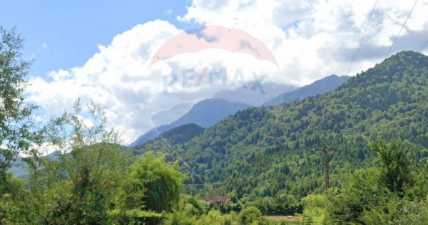 Teren 1600 mp cu proiect & autorizație, Chalet Duplex R?...