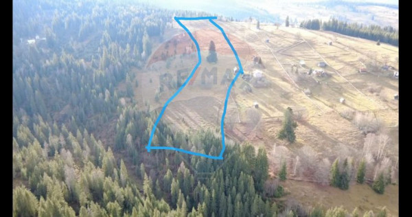 Teren intravilan 26232m.p. Dorna-Arini / Cozănești