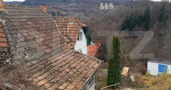 De v&acirc;nzare casă veche, 108 mp+571 mp teren, Drumul Poieni