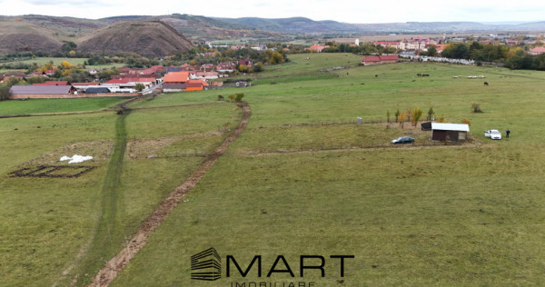 Teren extravilan 2200 mp in Orlat