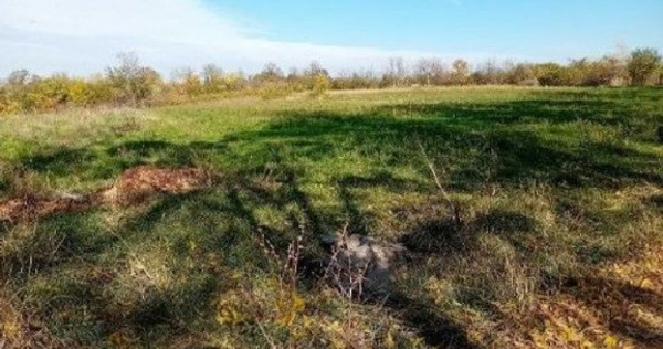 Teren Ungheni, ID: R2832820