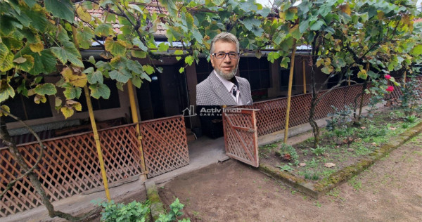 Sosdea 2 Case cu Teren 4657 Mp.