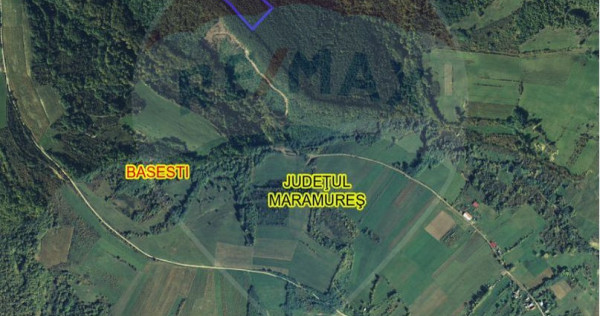 Pădure de vanzare cu zona de cabană Odesti