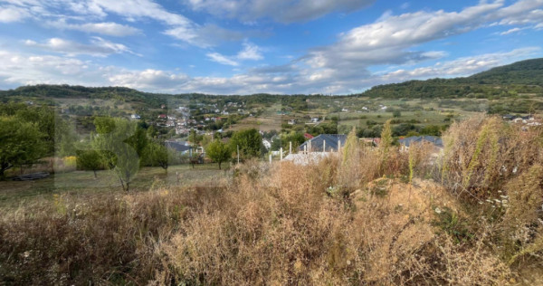 Teren intravilan, 5 ari, zona strada Ghinzii