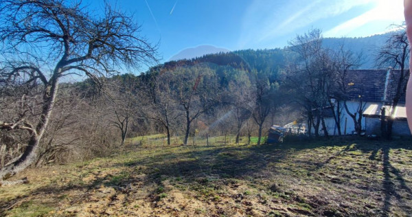 Teren intravilan de v&acirc;nzare &ndash; Vale (Saliste), județul...