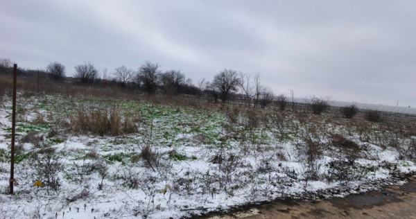 PROPRIETAR teren intravilan 727mp