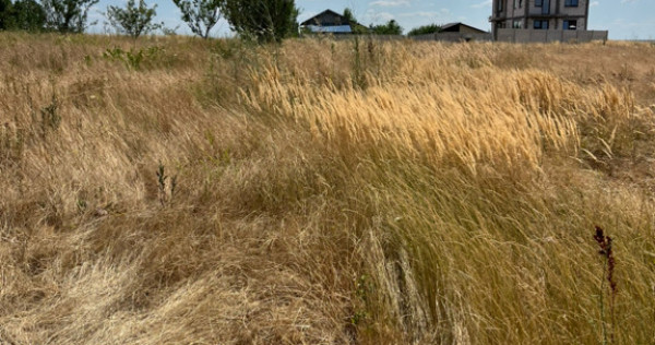 Teren Albești, Simnicul de Sus,