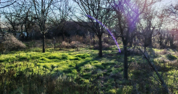 Teren Intravilan + casuta si anexe