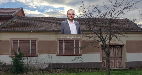 Bogodint, Casa 440mp cu 4 Hectare Teren, Pret Negociabil