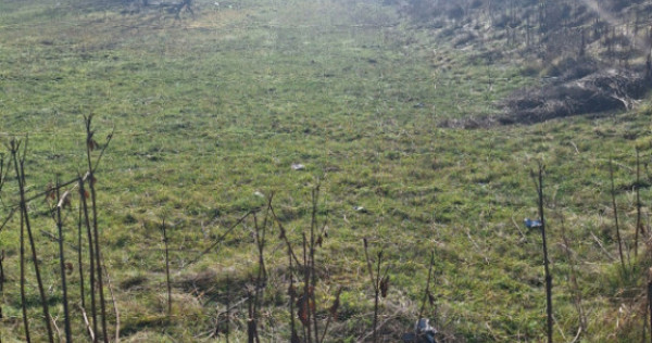 Oportunitate investiție | Teren 2400 mp &ndash; Dărmănești,