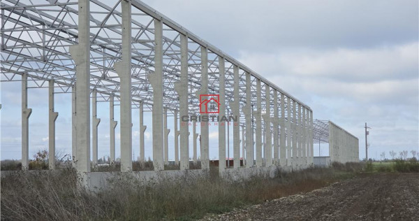 Depozit/hala/spatiu industrial Mogosoaia - Buftea