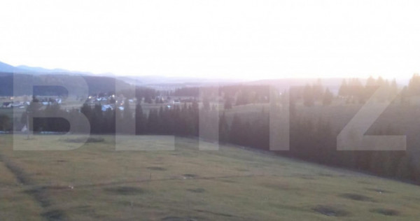 Teren de vanzare, 2400 mp, Dealul Floreni, Vatra Dornei