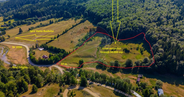 Teren 20000 mp, sat Dalghiu, com Vama Buzaului
