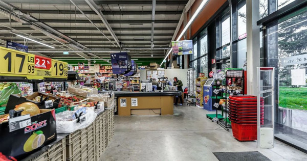 Spațiu comercial premium cu chiriaș stabil (Carrefour M...