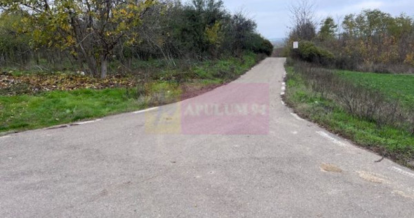 Teren Comana- strada Funieru.