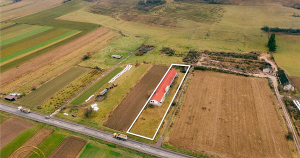 FILM! Ferma de iepuri,Malnas,Covasna: domeniu:industrial com