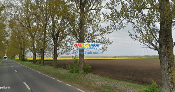Teren la Drumul Judetean Dascalu Gagu 17800 mp intravilan