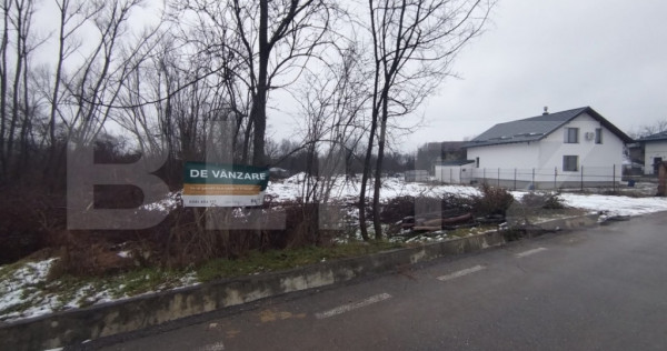 Teren intravilan, 580 mp, Priseaca, jud. D&acirc;mbovița