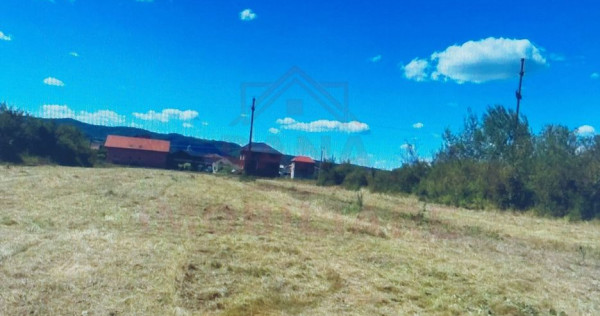 TEREN INTRAVILAN - STRADA AEROPORTULUI\ CARANSEBEȘ\JUD.C...