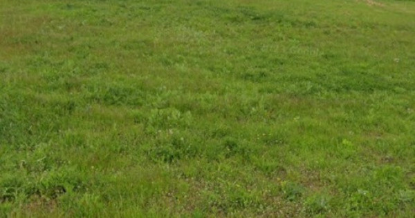 1200Mp teren intravilan intre case