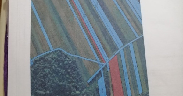 Teren agricol intra si extravilan 6200mp