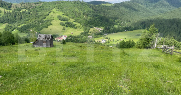 Teren de vanzare, 2 ha - Campulung Moldovenesc, zona Sandru