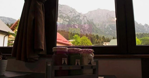 Apartament 3 camere de vanzare in Busteni 5 min partia Ka...