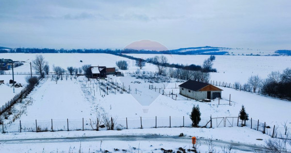 Teren intravilan 9.574 mp &icirc;n Săliște, poziție strateg...