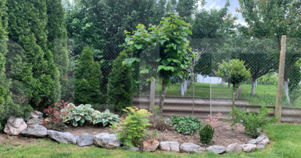 Vilă Premium pe Parter | Chișoda | 471 mp Teren | Garaj 50