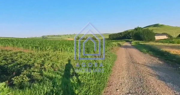 Teren intravilan Moara Carp - zona Ponoare