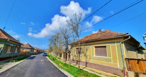 Casa Saniob - 2000 mp teren