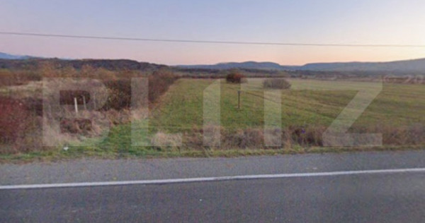 Teren extravilan pentru activități comerciale &ndash; Livezile