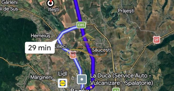 Teren agricol extravilan in Itesti de vanzare