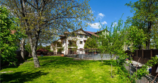 FILM! Vila impozanta,pretabila pe segmentul comercial servi