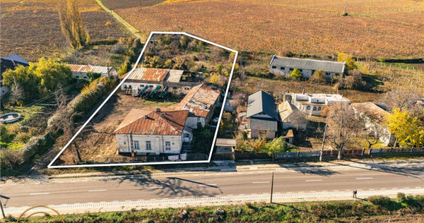 FILM! Domeniu de 4.000 mp intravilan casa boiereasca autent