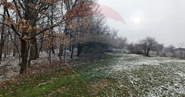 Teren 5,700mp Somcuta Mare / investitie cu potential major