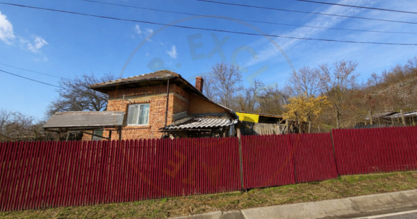 Casa Priboieni - sat Pitoi Arges