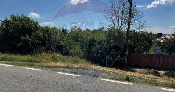 Teren 2,500mp Picaturile / Strada Principala