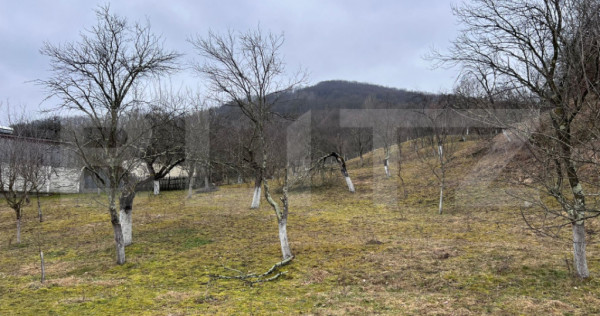 Teren intravilan 3.709 mp, Stremț