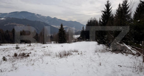 Teren intravilan 10746 mp, front 58 ml, localitatea Pojorata