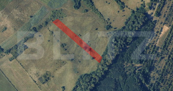 Teren extravilan de vanzare, 56 ari, zona Valea Stanelor